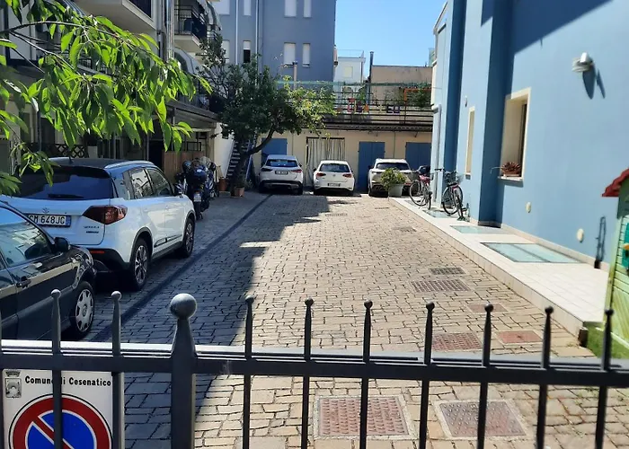 Ambra تْشيزيناتيكو